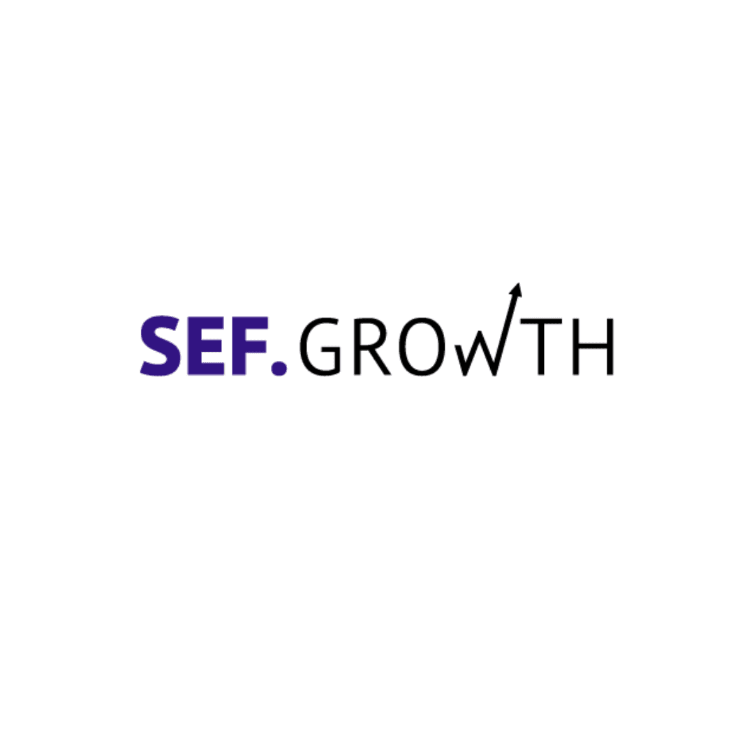 SEF.Growth – das Programm für Wachstum